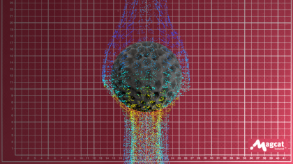 GAs flow sim